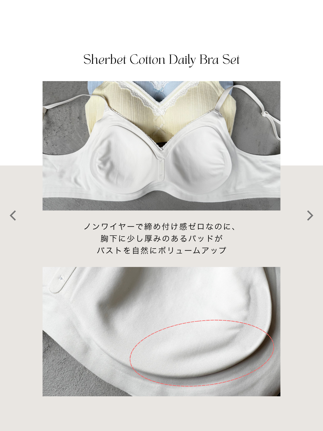 シャーベットコットンデイリーブラセット