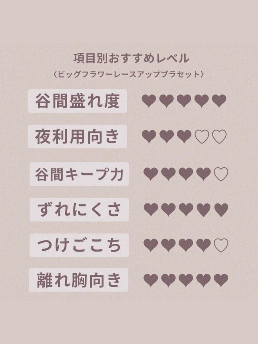 【自胸にフィット】ビッグフラワーレースアップブラセット