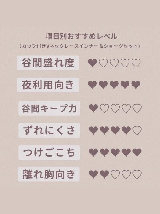 【自胸にフィット】カップ付きVネックレースインナー&ショーツセット