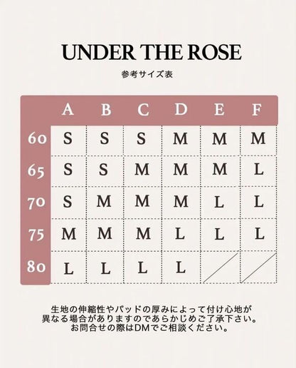 【整形級谷間】くっきり谷間メイクサテンレースブラセット