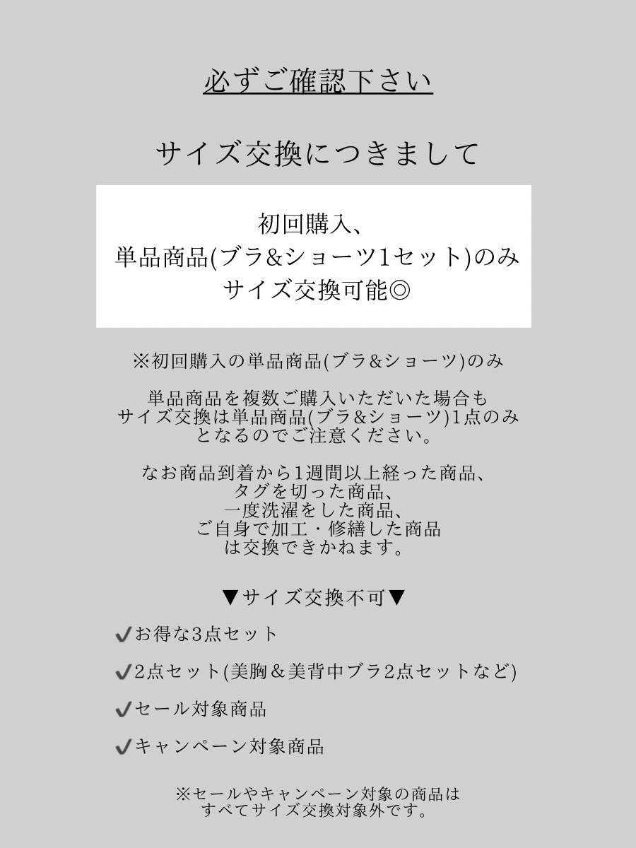 【Luxury】シームレス瞬間谷間メイクブラセット